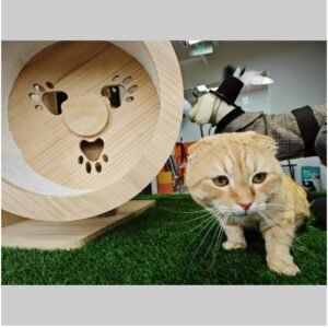 Thick Realistic Fake Grass Roll Decor Patio Balcony Garden Lawn - Image 10